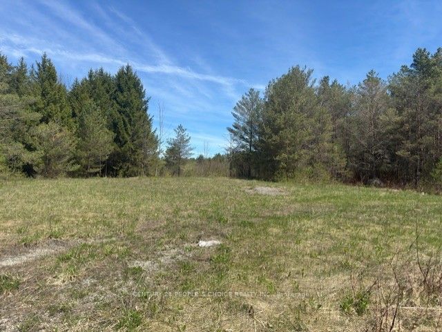6081 Hwy 89, Clifford