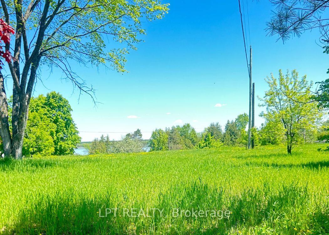 Photo of `+ vals.alt + `