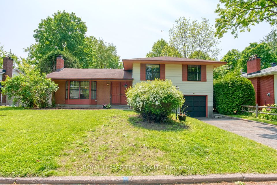 19 Dayton