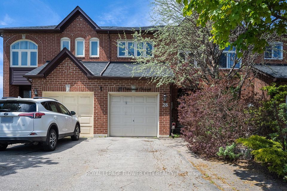 28 Cedarwood