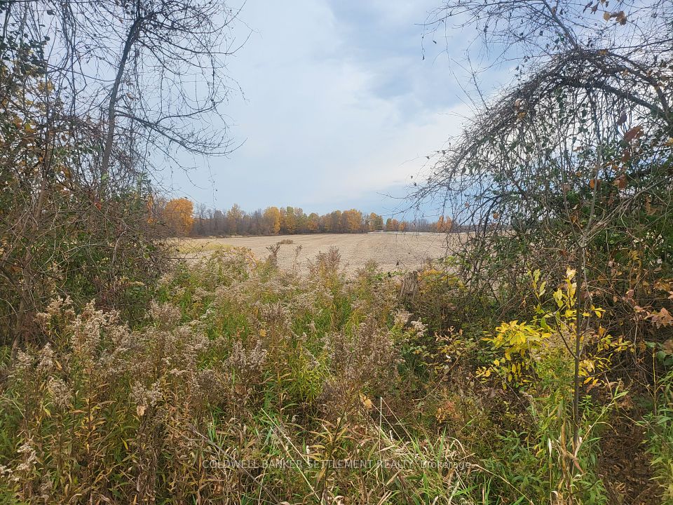 Lot 5 BUSH