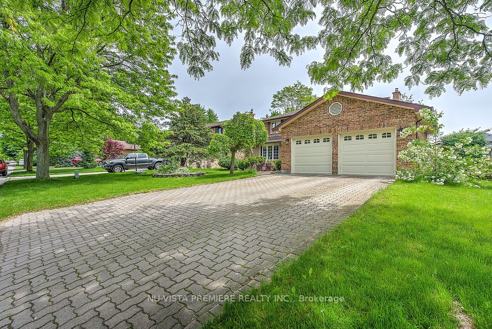 5 Donnybrook