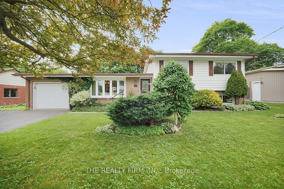 80 Larkspur