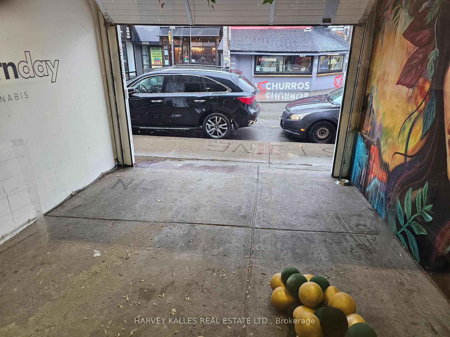 206 Augusta Avenue main