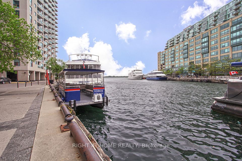 77 Harbour