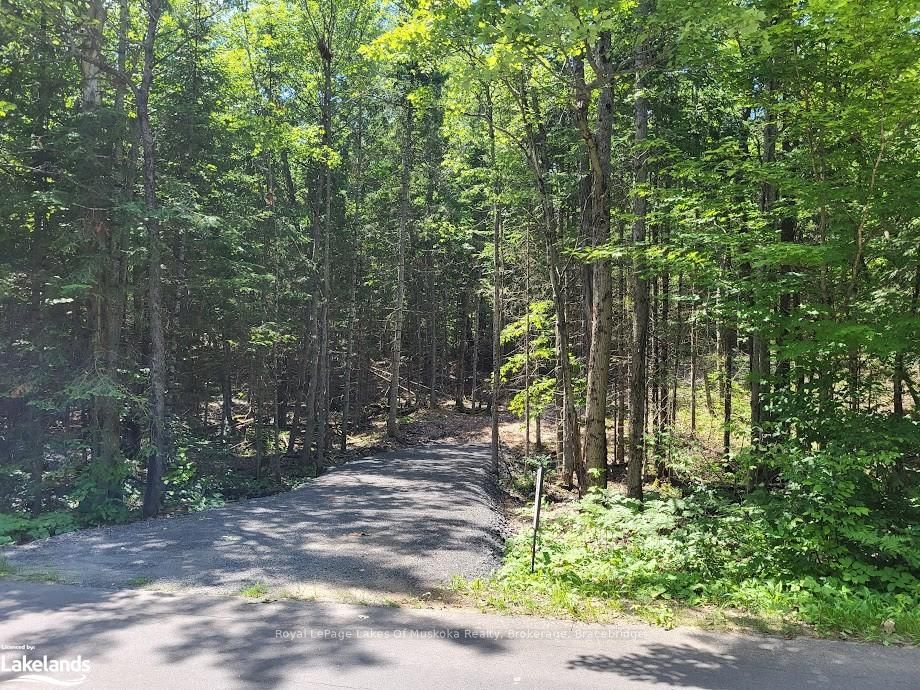 LOT 5 FAIRY FALLS