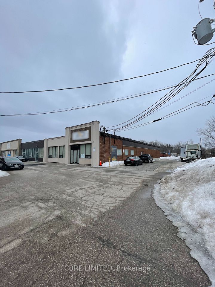 1194 Caledonia