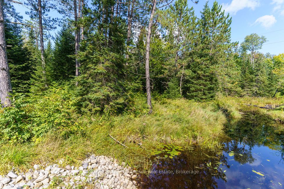 0 Fern Glen Road, McMurrich/Monteith, ON P0A 1Y0