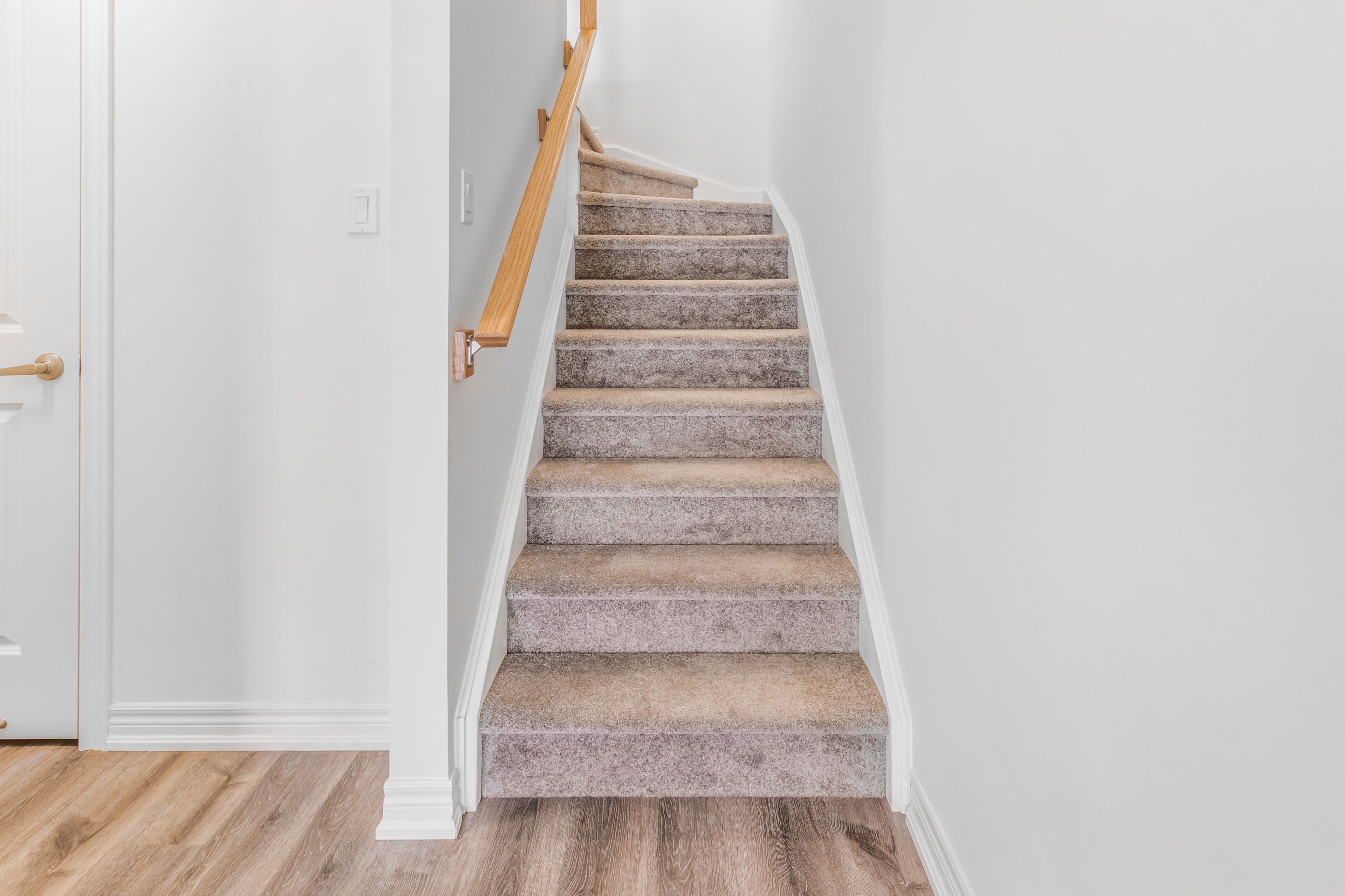 75 Dryden Lane