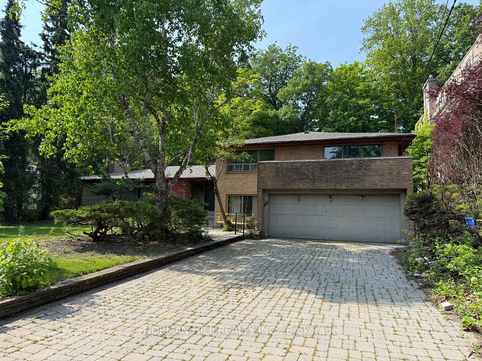 49 Timberlane