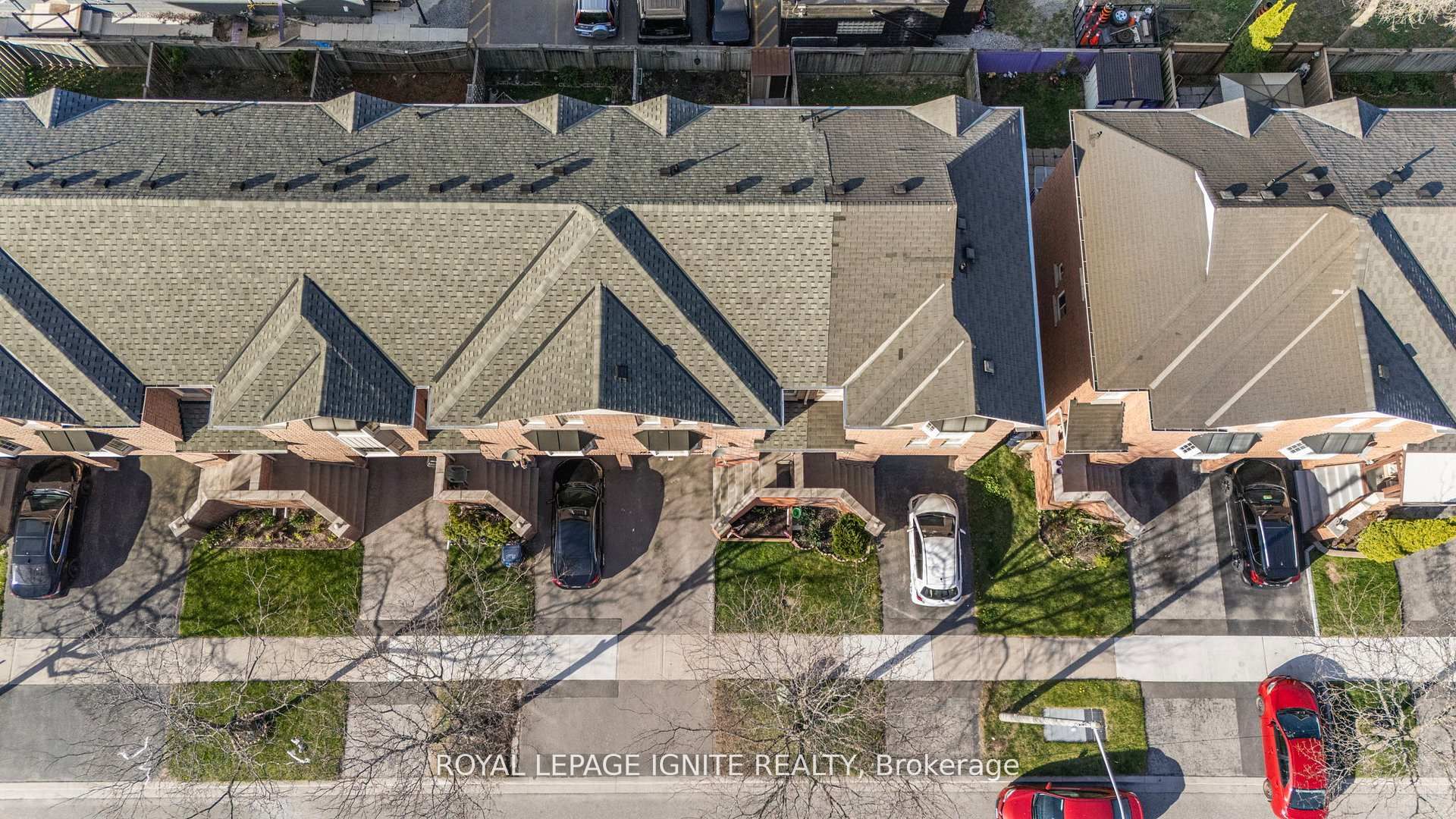 12 Eli Shackleton Court