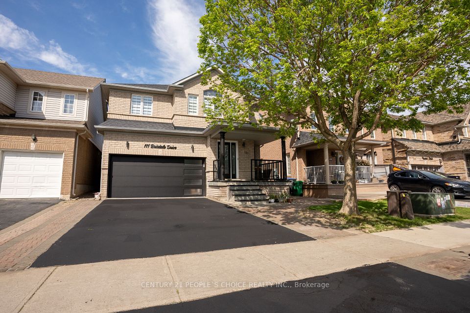 111 Brisdale
