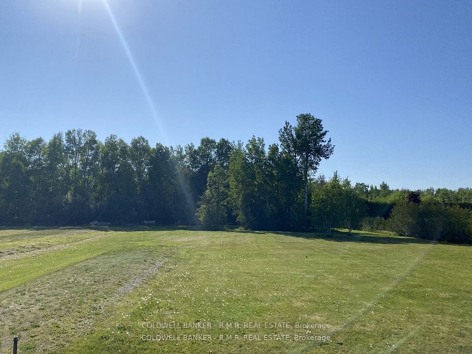 Lot 11 Pinewood