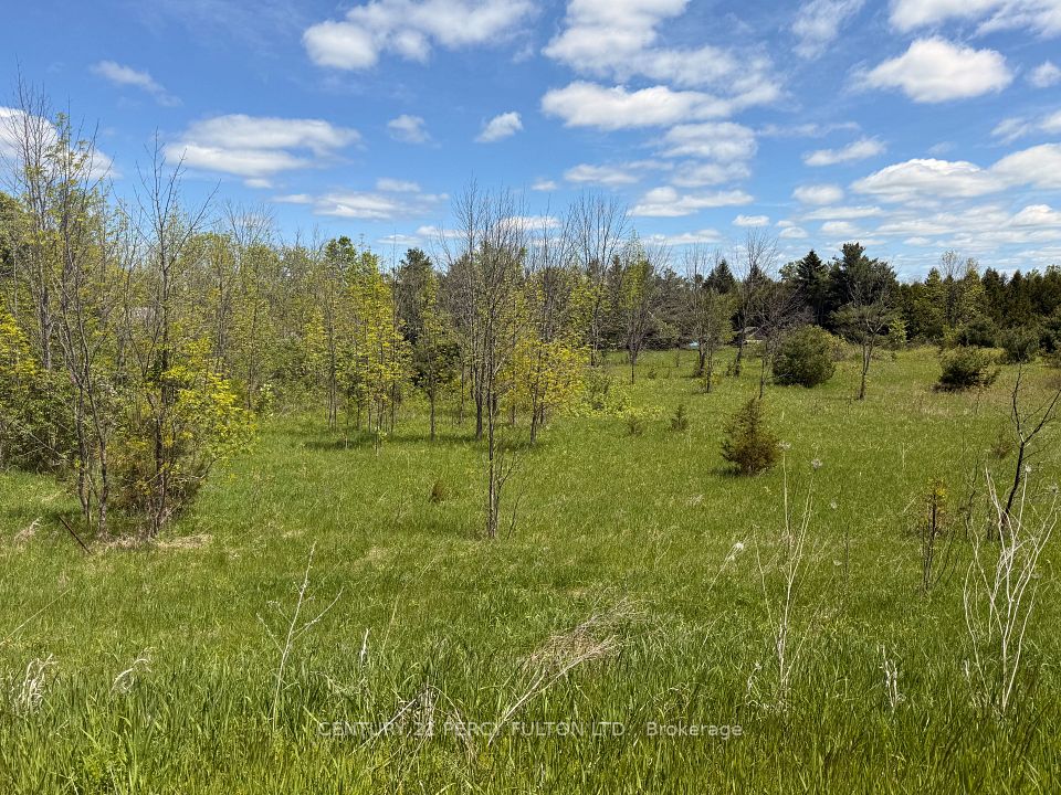 Lot 55 Country Rd 25
