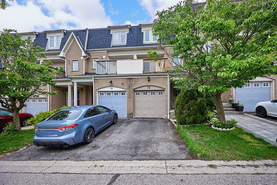 75 Sprucedale