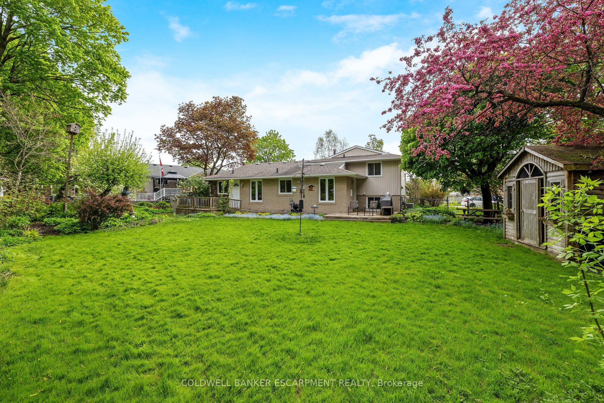 164 Elmore Drive