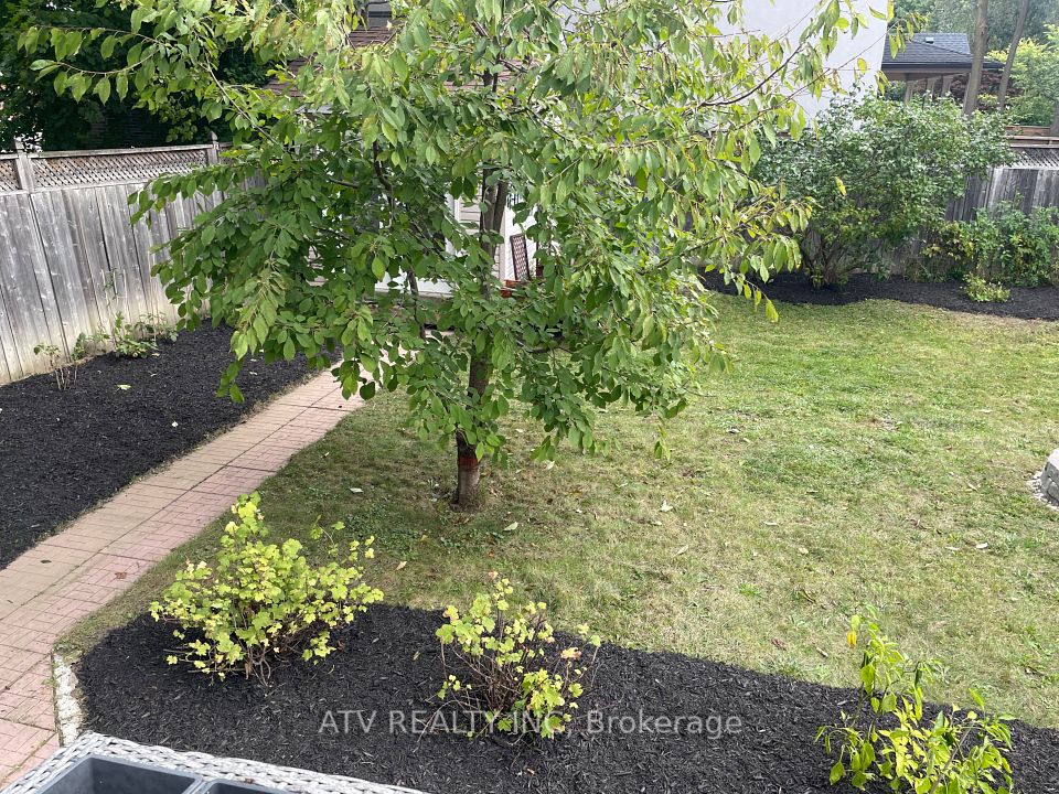 Shed behind tree