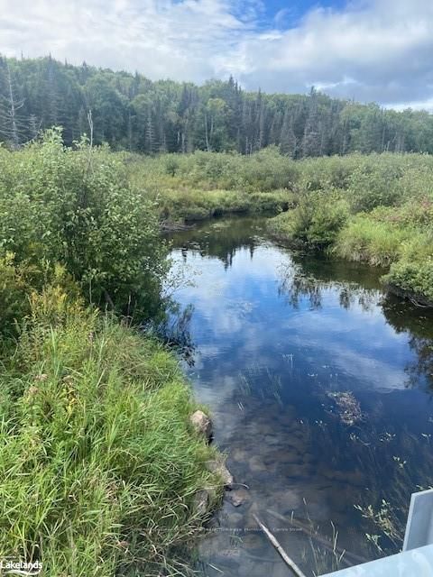 573 MUSKOKA