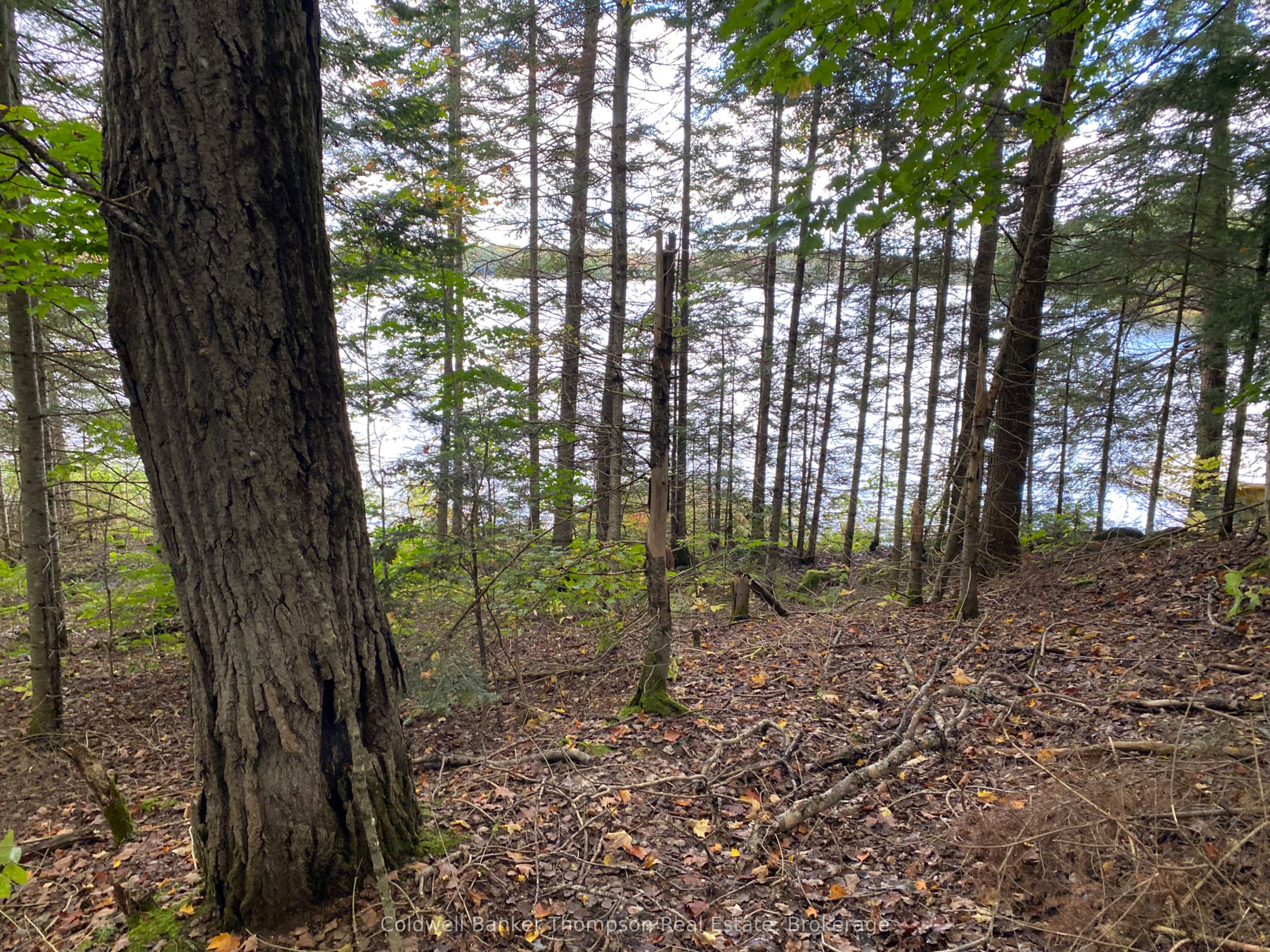 1080 Healey Lake Road, Bracebridge Macaulay