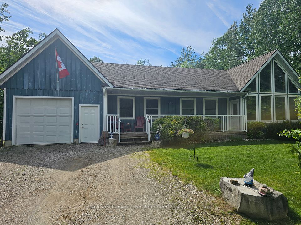32 Pine Forest