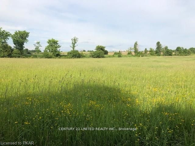 Investment Listing Photo