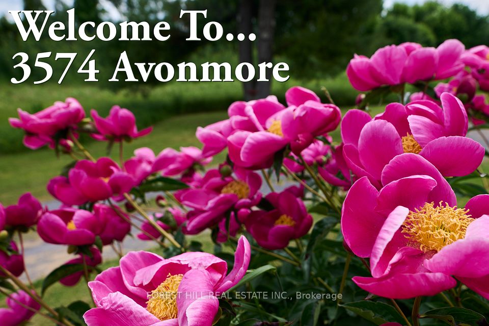 3574 Avonmore