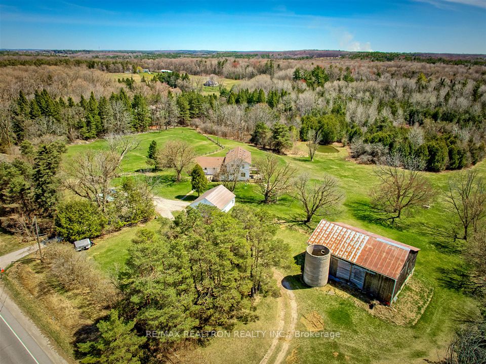 3169 Mount Albert