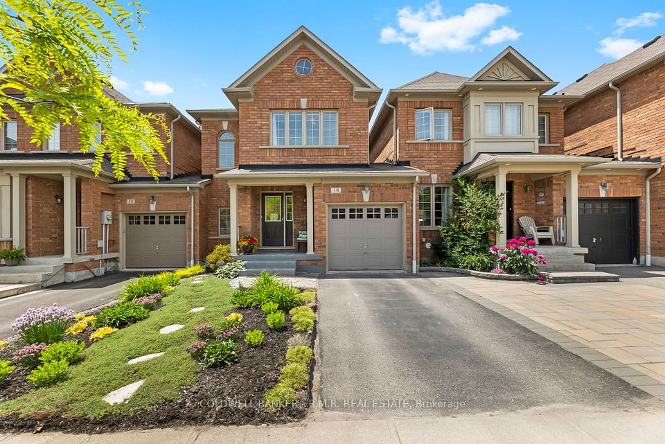 14 Betula