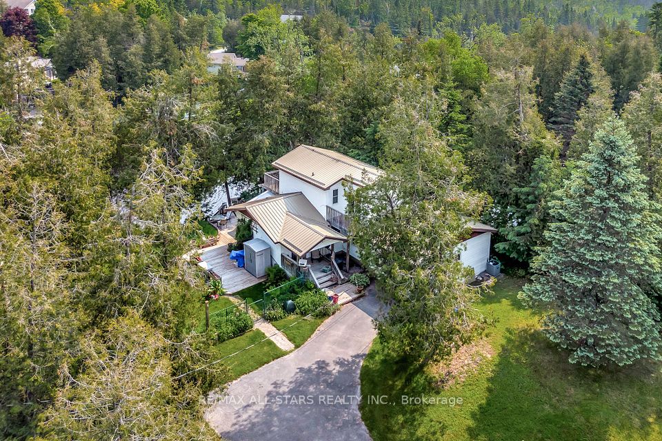 14 Wychwood