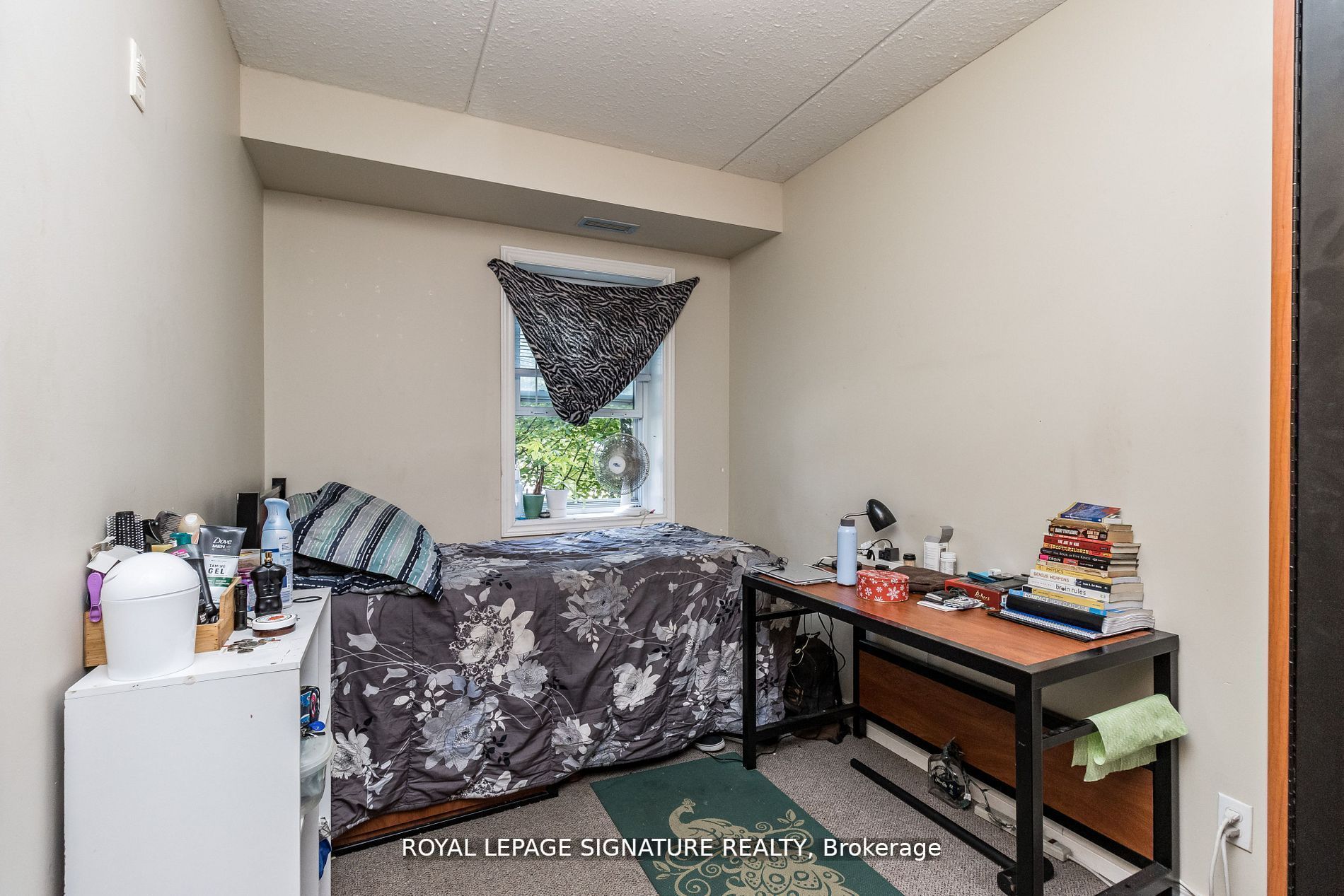 253 Lester Street, #101