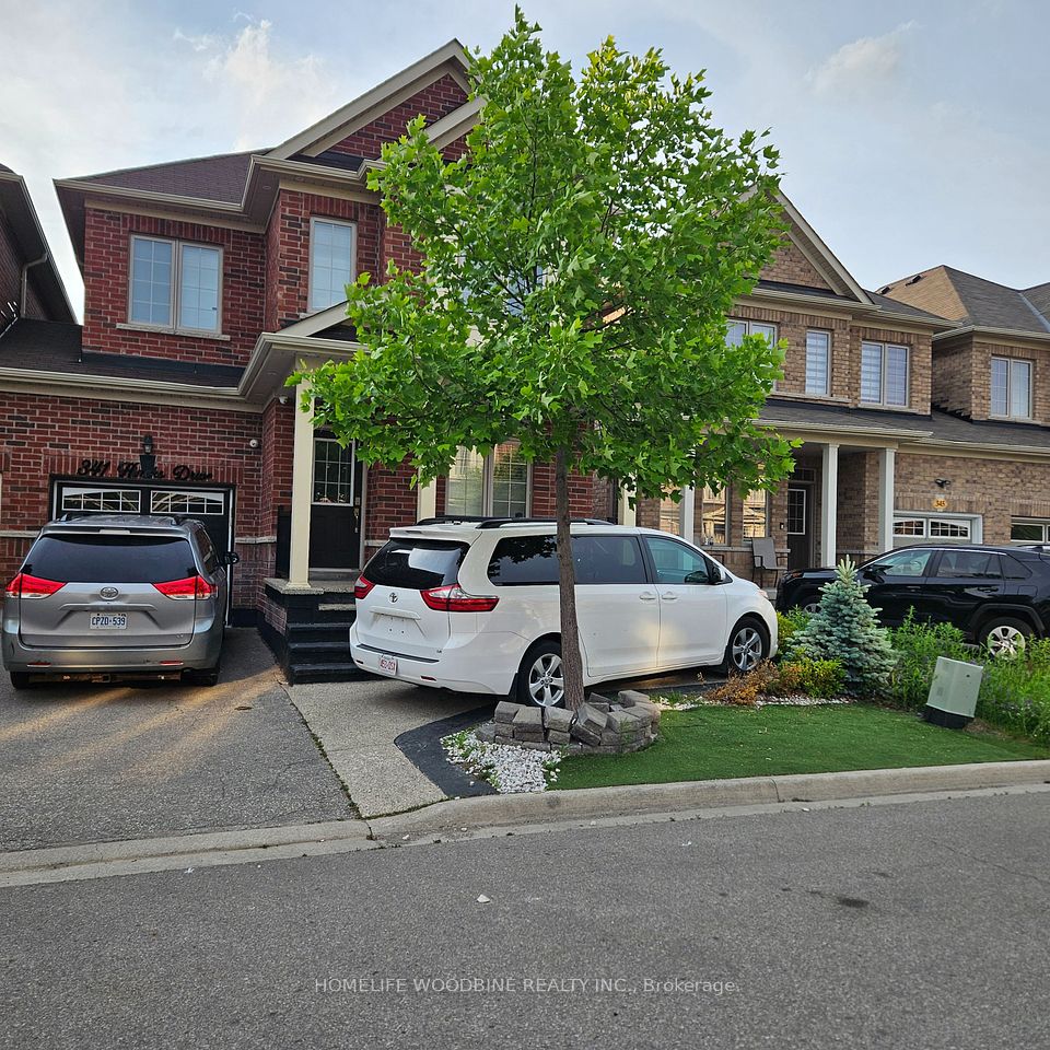 341 Hincks