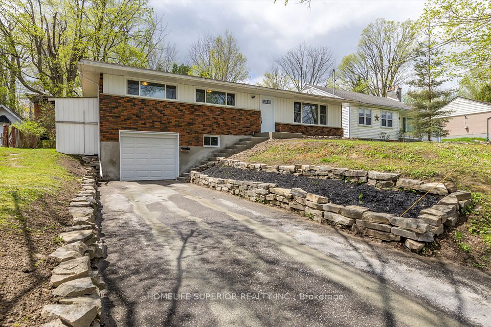 1243 Albertus