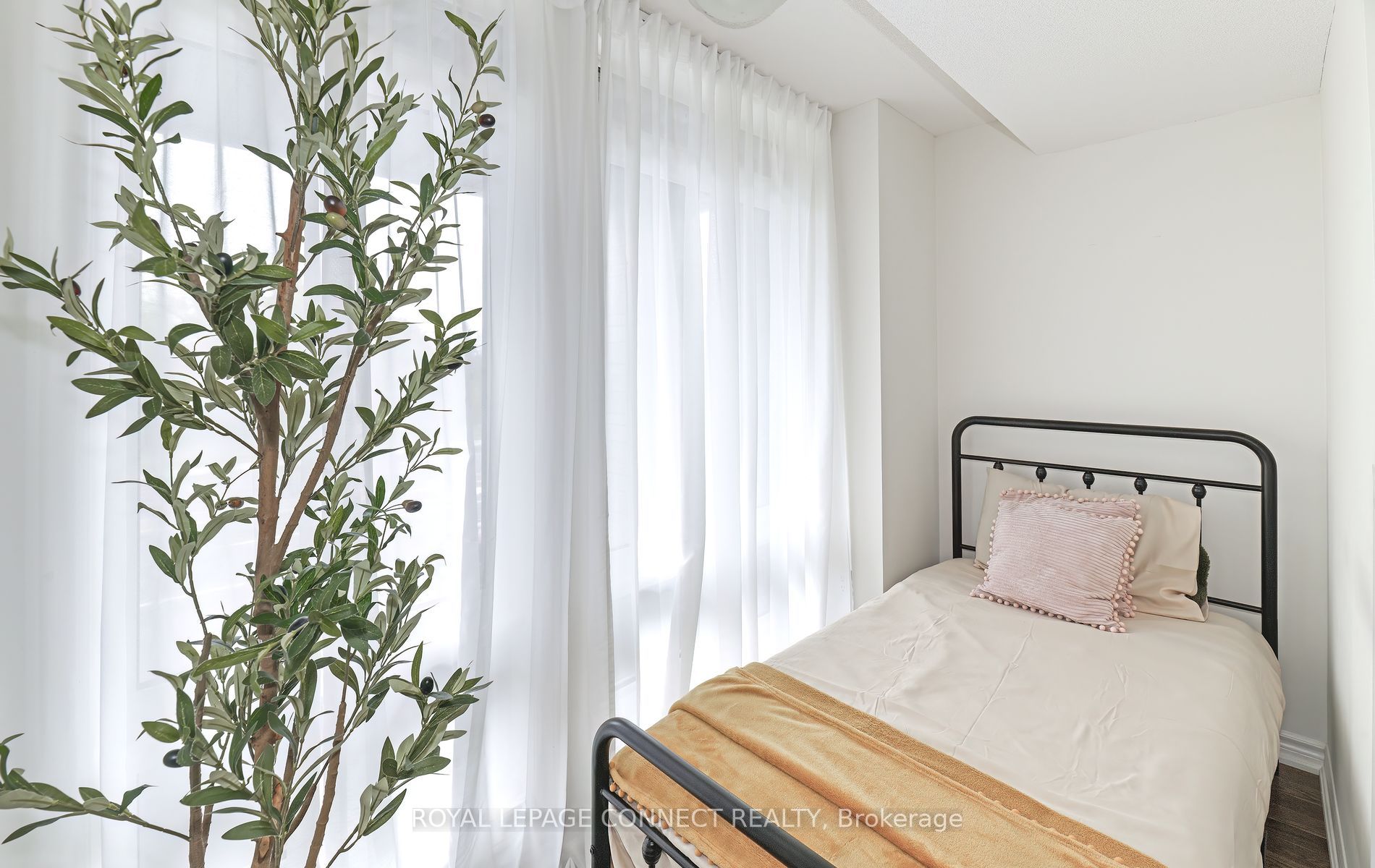 492 Salem Road S, #06