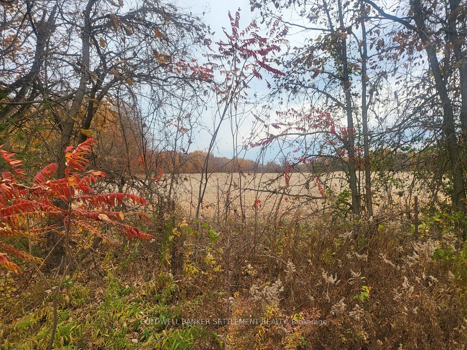 Lot 1 Bush