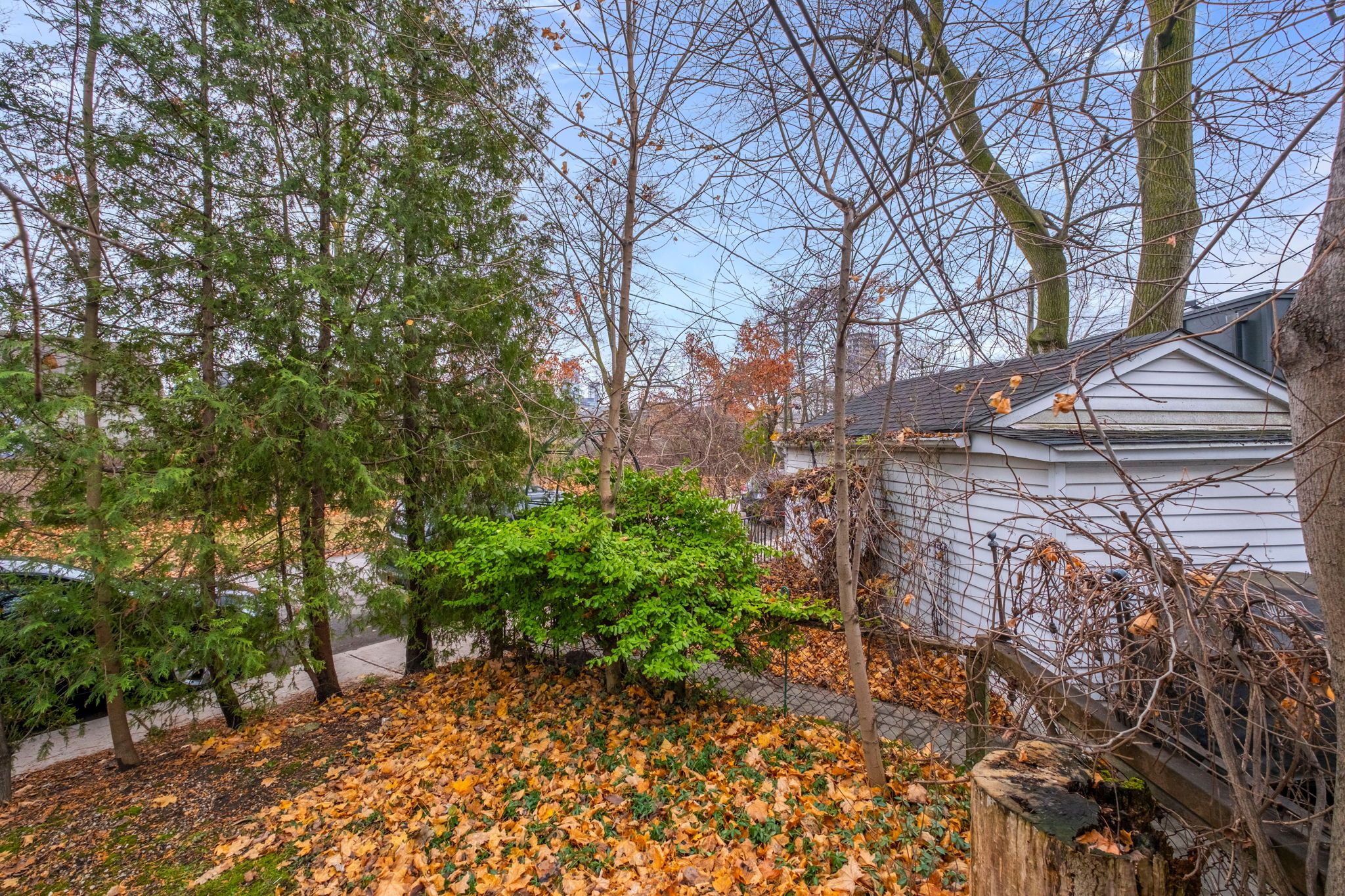 137 Summerhill Avenue