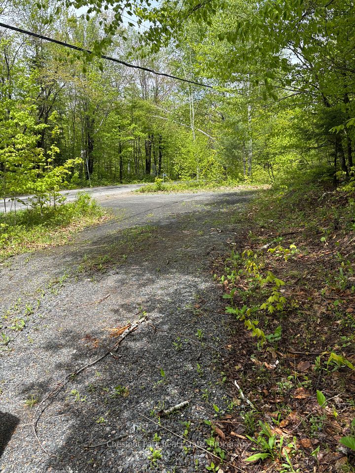 1498 Lone Pine Drive, Bracebridge, ON P1L 1X4