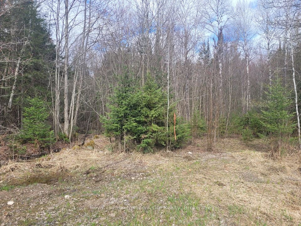 PT LOT 19 CON 13, Papineau-Cameron, ON P0H 1V0