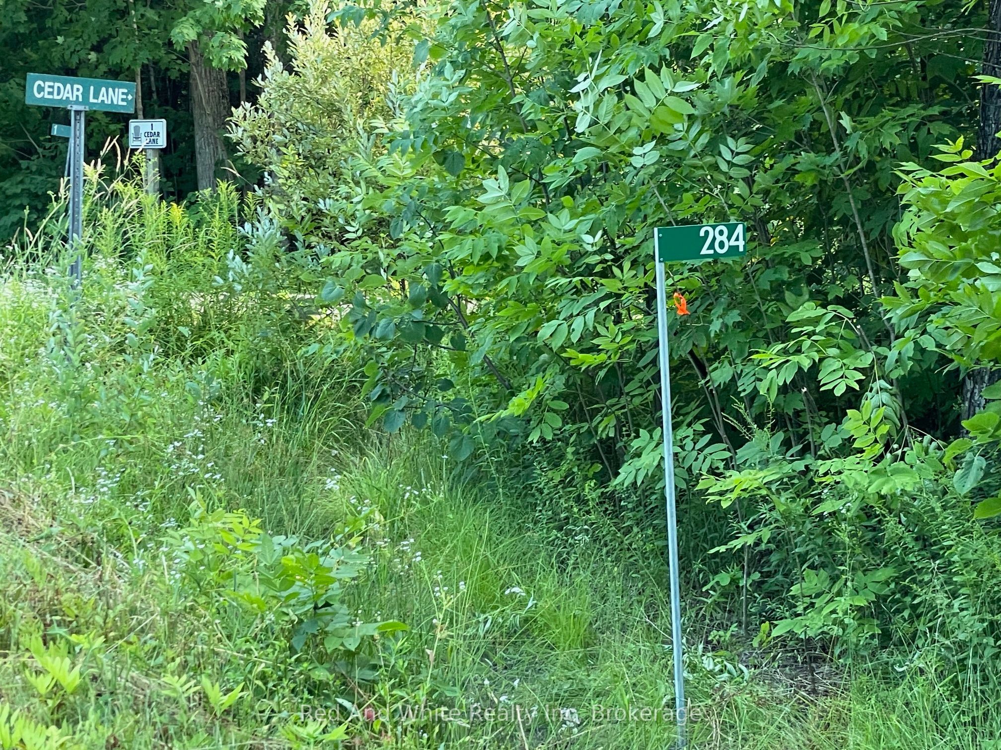284 Chapman Drive, Magnetawan, ON P0A 1P0