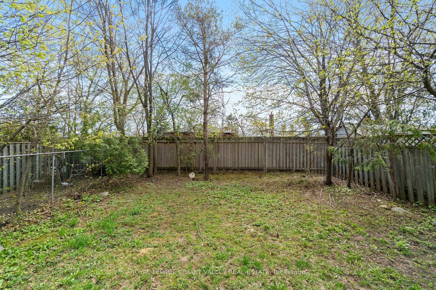 13 Kinzie Lane