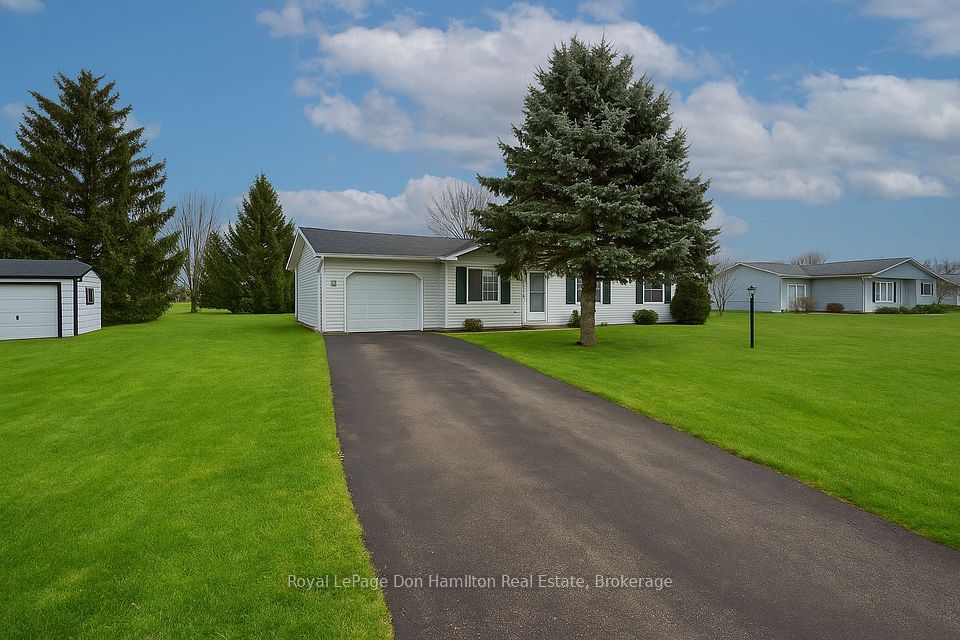 101 Meadowview