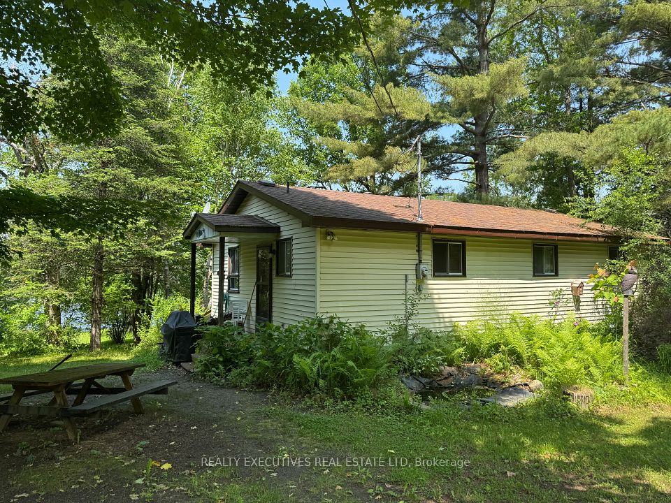 176 Hoddinott