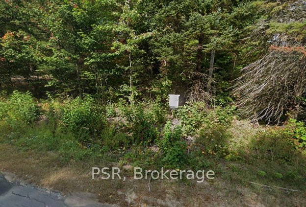 Plot 143 Lot 12, McMurrich/Monteith, ON P0A 1Y0
