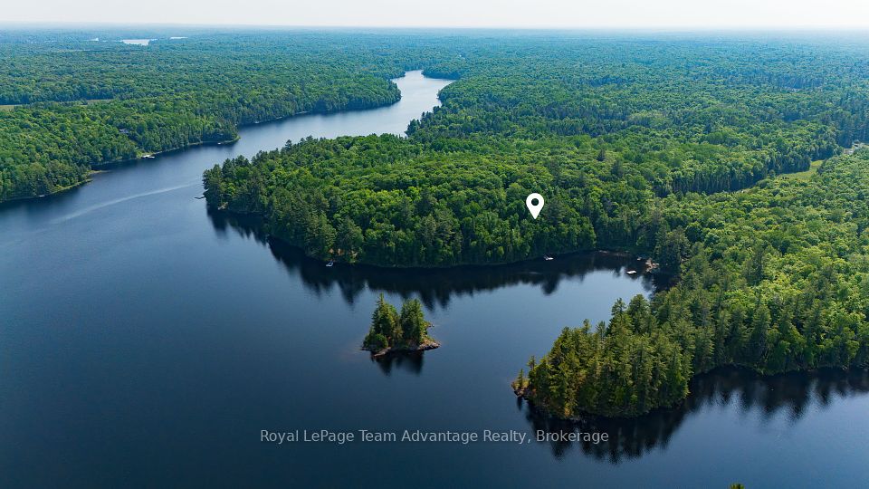 438 Shawanaga Lake