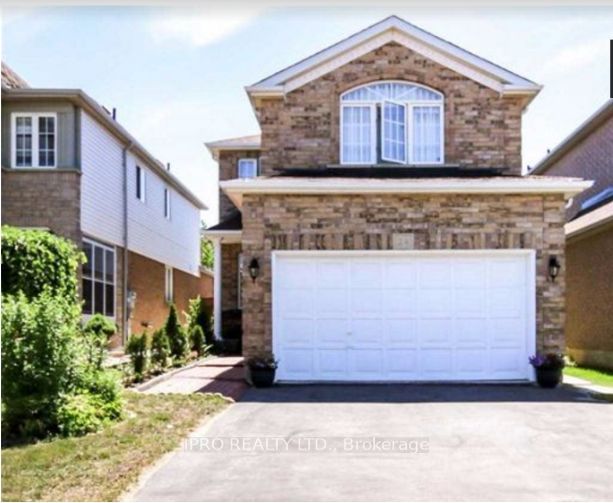 24 Larkspur