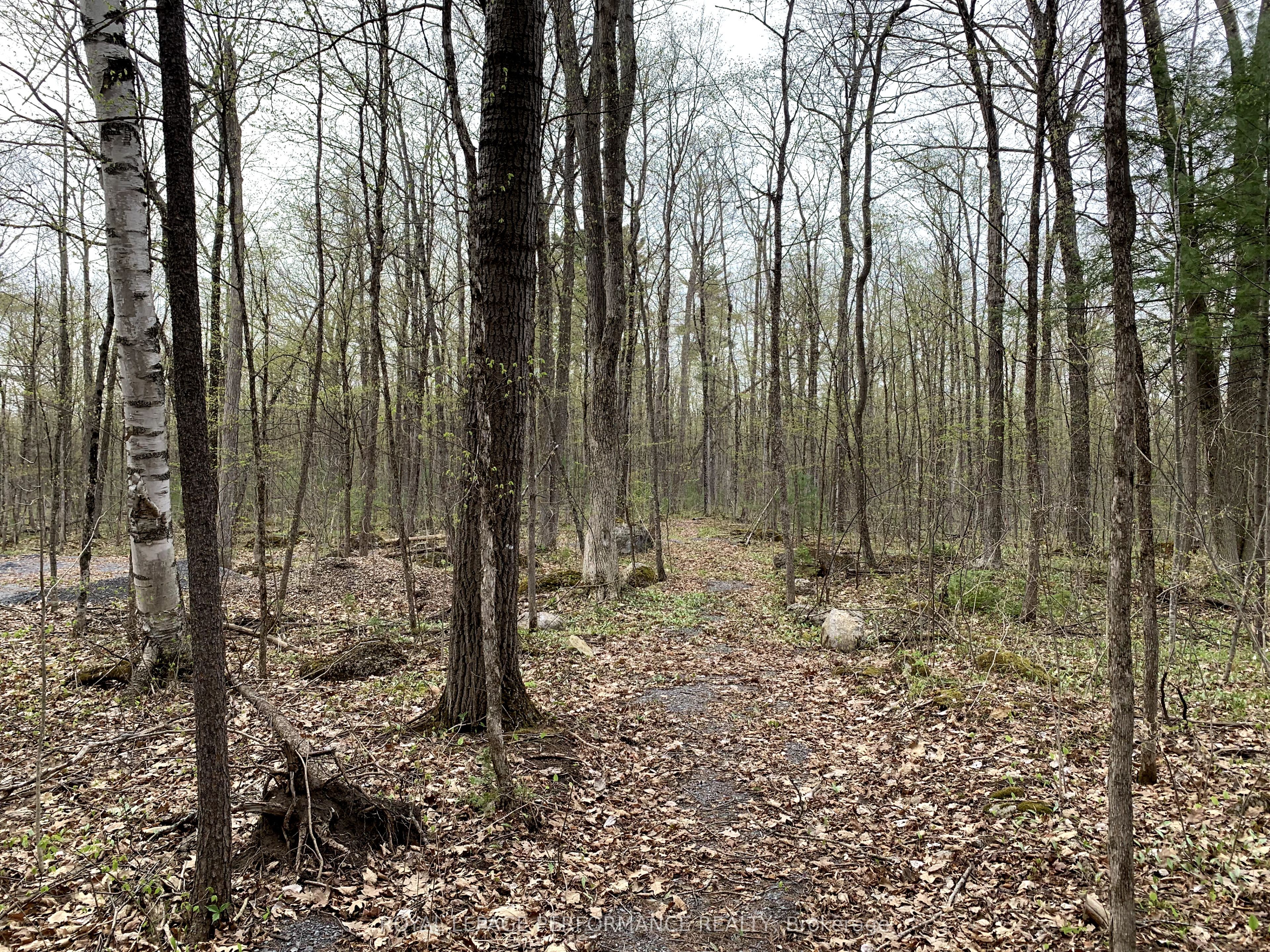 00 O'Toole Road, OrleansCumberlandandArea, ON K4C 1M4