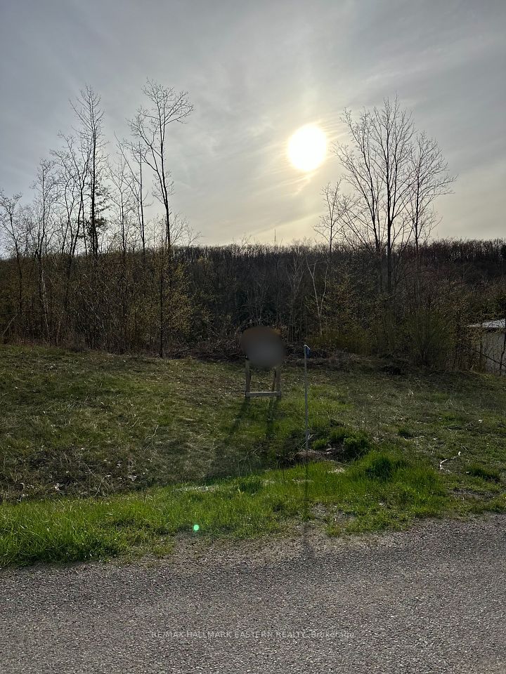 62 Trent View