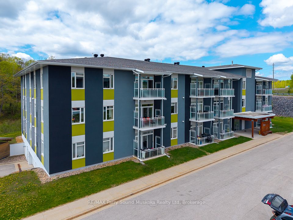 20 Silver Birch