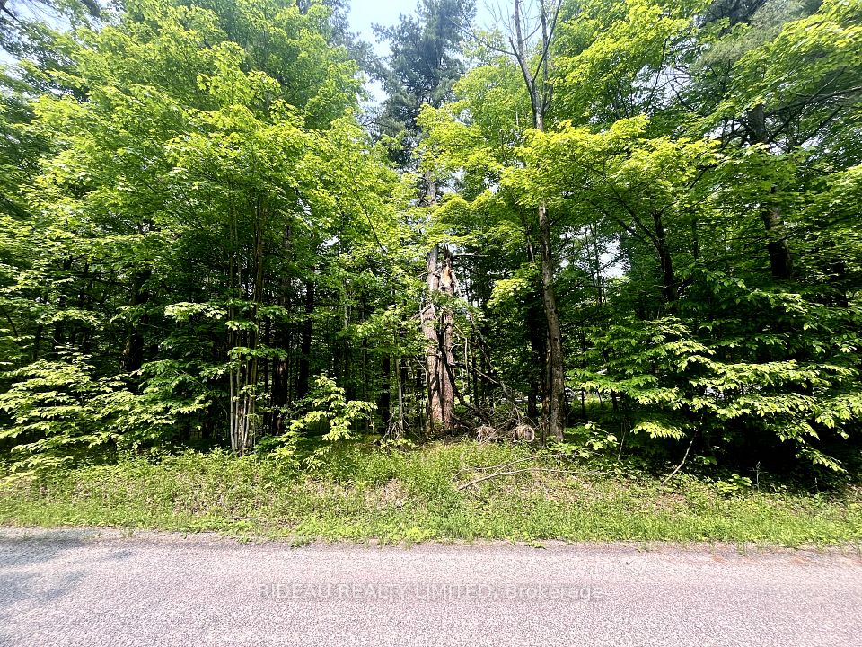 P7 CLEAR LAKE