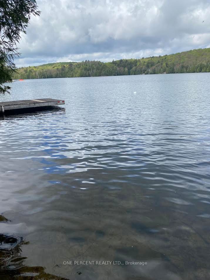 393 Loon Lake