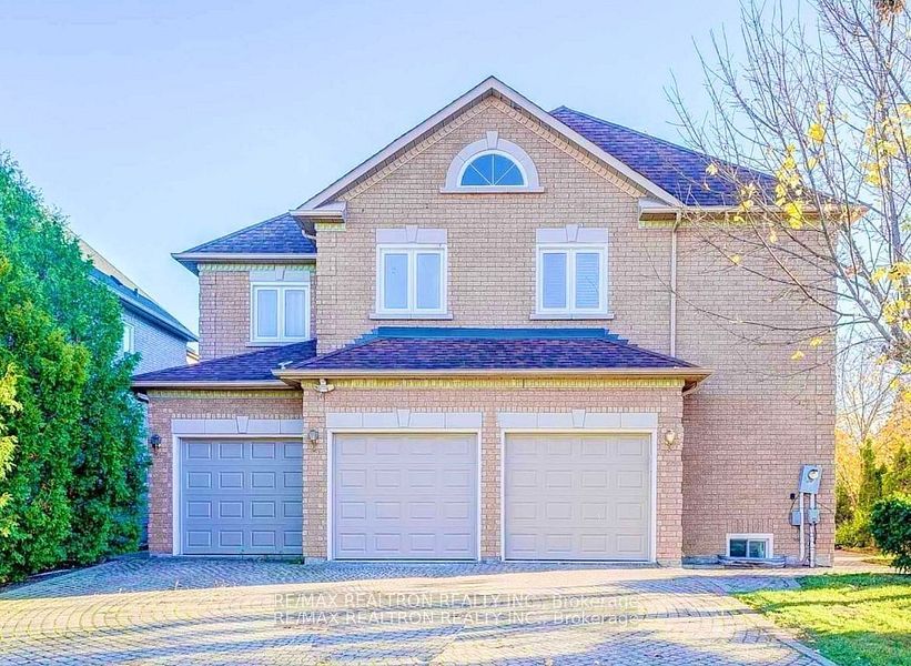 91 Grey Alder